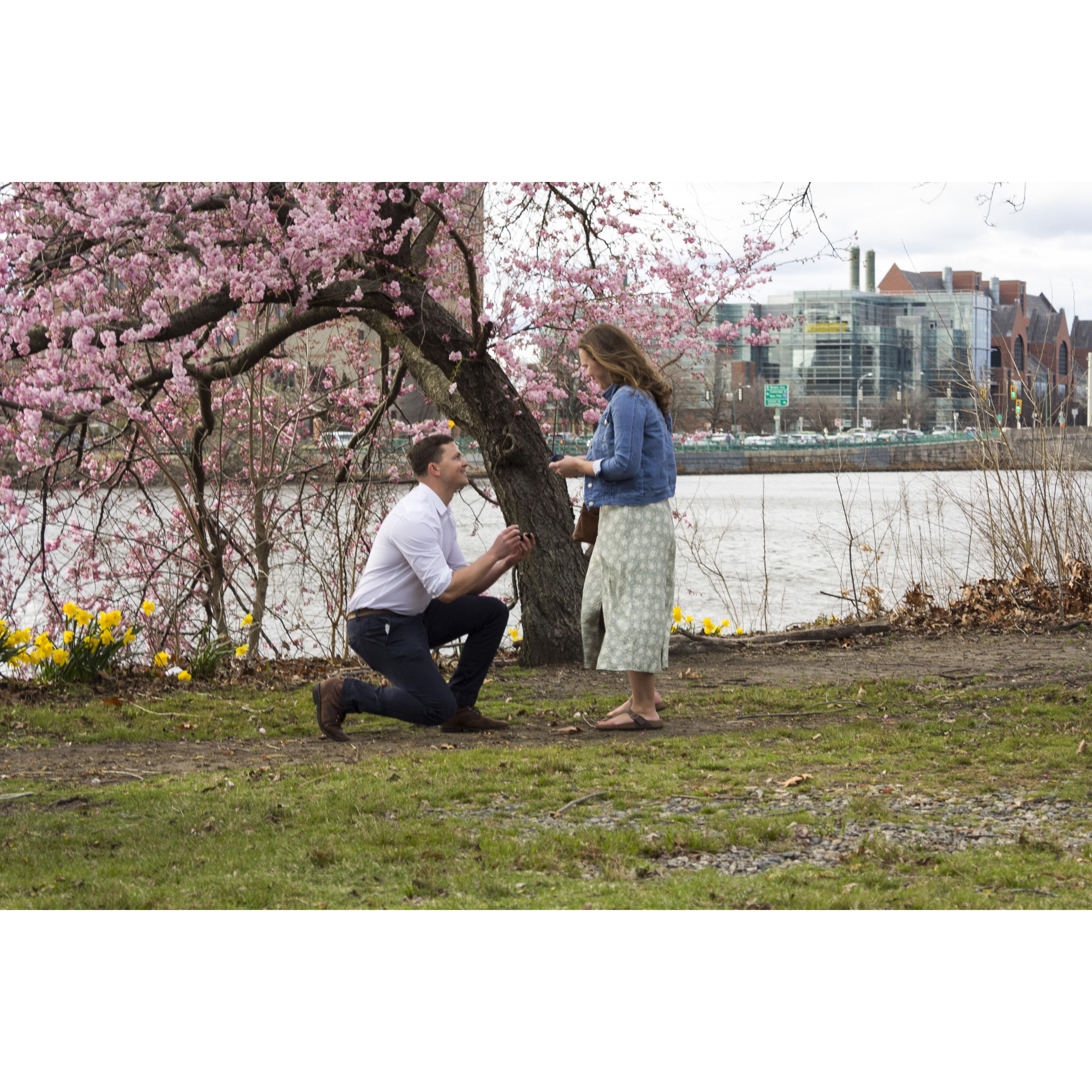 Popping the question