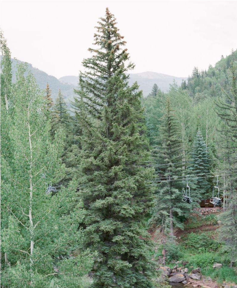 The Wedding Website of Cara Yeaton and Austin Gore