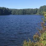 Lake Wintergreen