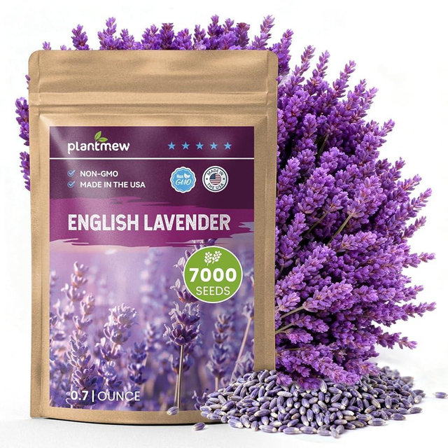 PLANTMEW English Lavender Seeds for Planting Outdoors or Indoors, 7000+ Heirloom Non-GMO Seeds, 90% Germination Rate, Container, Herb Garden, Culinary & Crafts (0.7 Ounce Pouch)