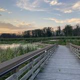 Lake Saint Clair Metropark