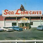 Sea Lion Caves