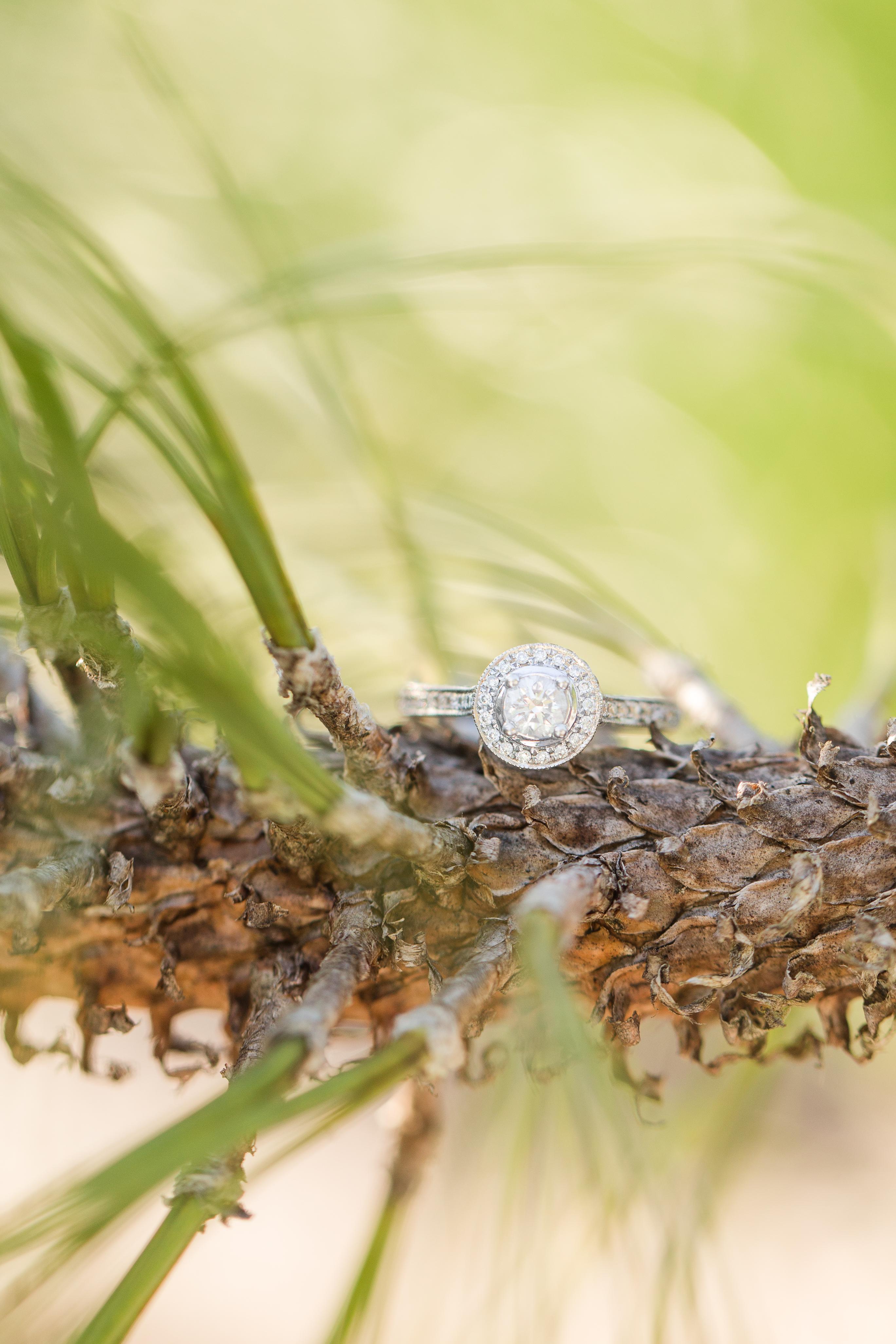 The Wedding Website of Holli Broach and Bryce Fleming