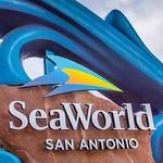 SeaWorld