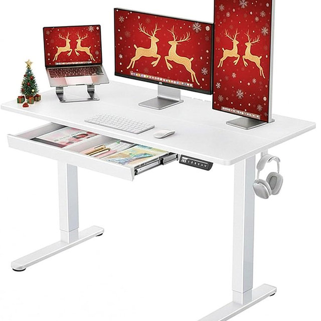 ErGear Electric Standing Desk with Drawers, 48" x 24" Height Adjustable Desk with 4 Preset, Home Office Computer Table with Splice Board, White