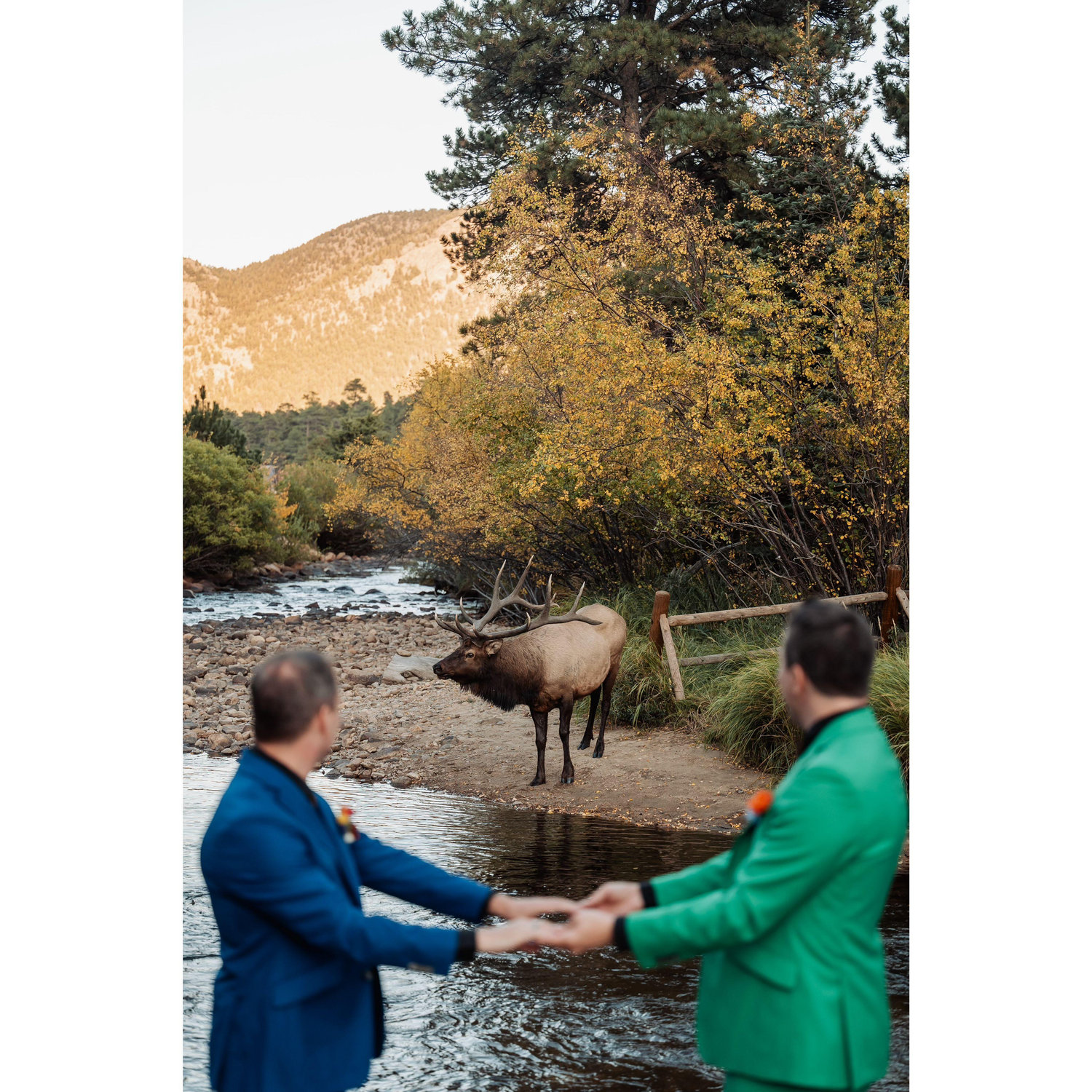 A surprise visitor walked up right as we were kisssing. This wedding crashed was welcome, and he got even closer to us!