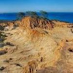 Torrey Pines State Natural Reserve