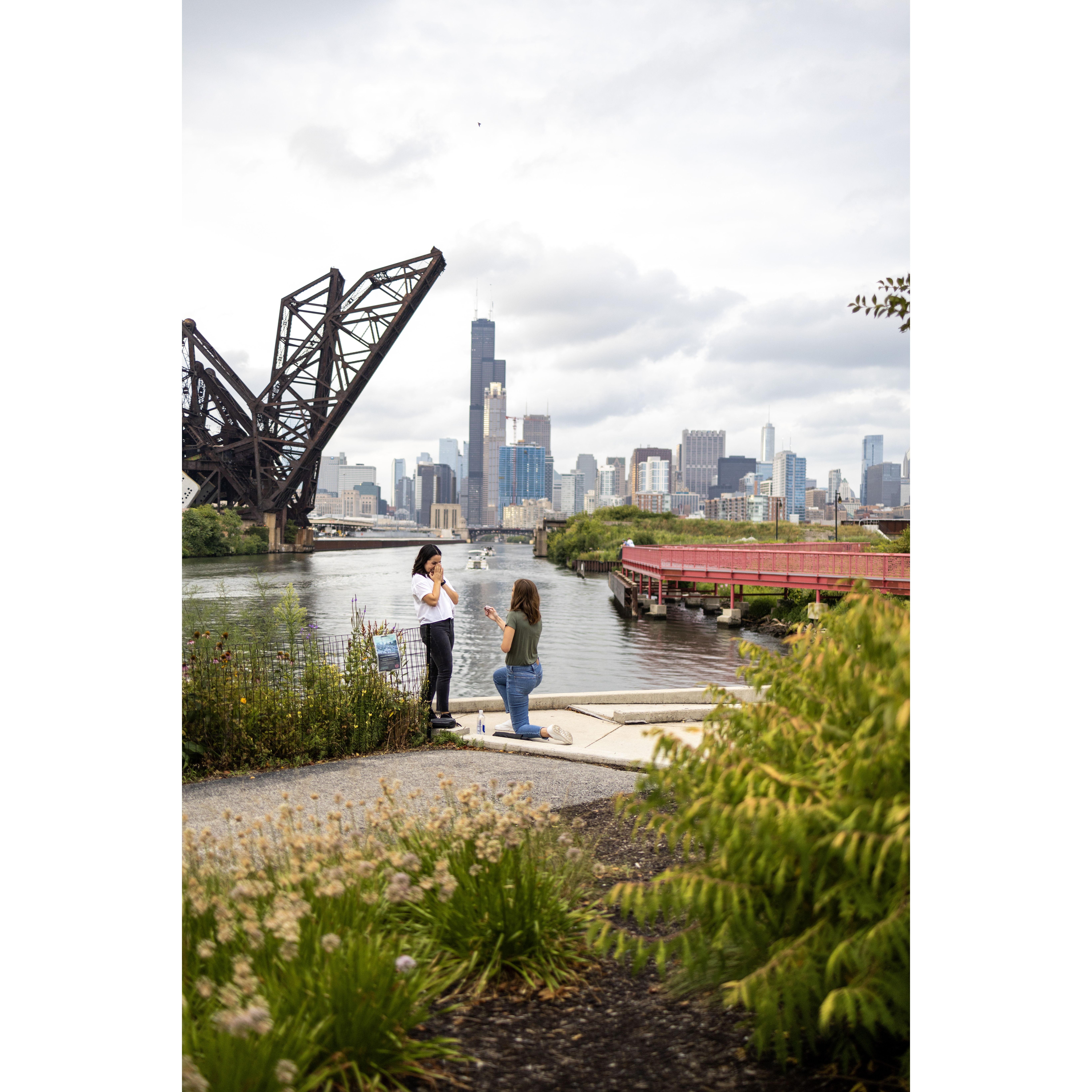 The moment Sarah proposed!