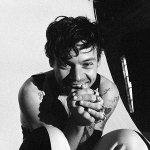 Harry Styles Tickets Fund