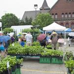 Oak Park Farmers' Market