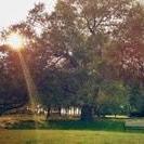 Bayview Park