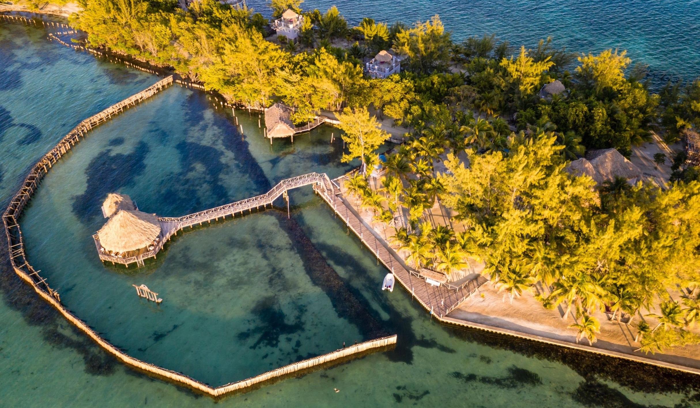 20320a67-fc9c-4aef-8c81-18659fef12fa