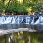 Lullwater Preserve