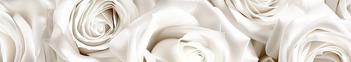 2033c6ca-13d8-4986-aa22-3d5970aed172