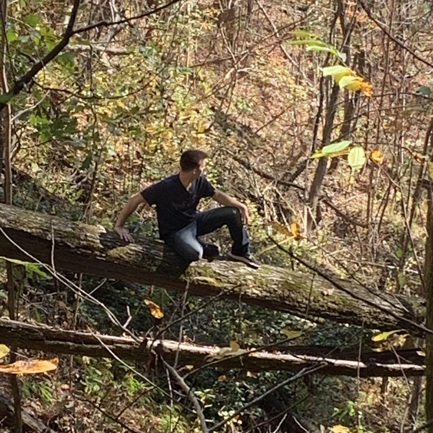 Mountains Rest SC camping