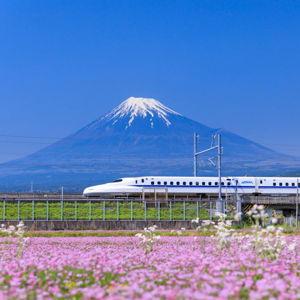 Shinkansen from Hakone to Kyoto