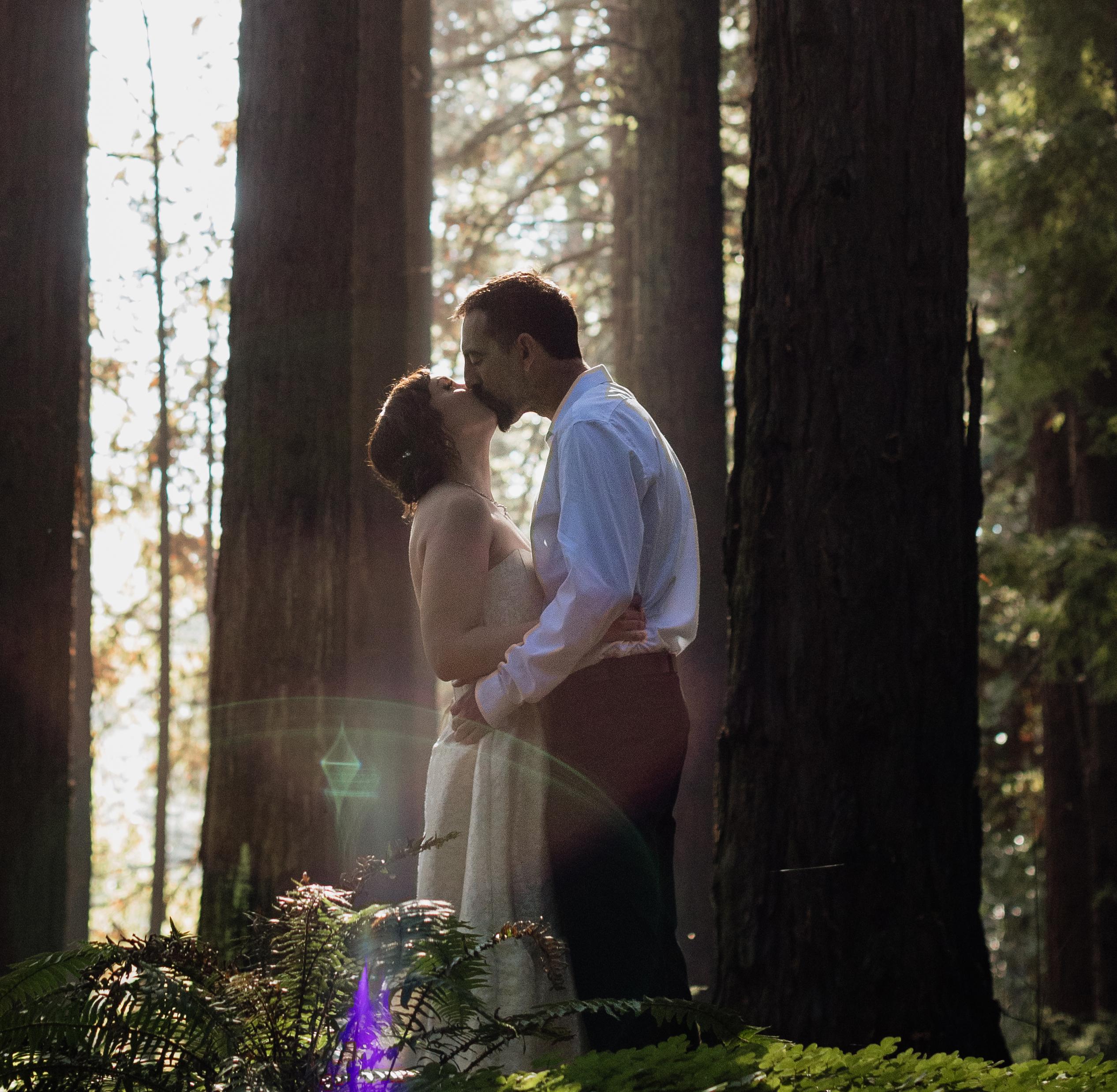 The Wedding Website of Nancy Weickhardt and James Nelson