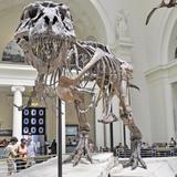 Field Museum