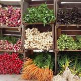 Callicoon Farmers' Market