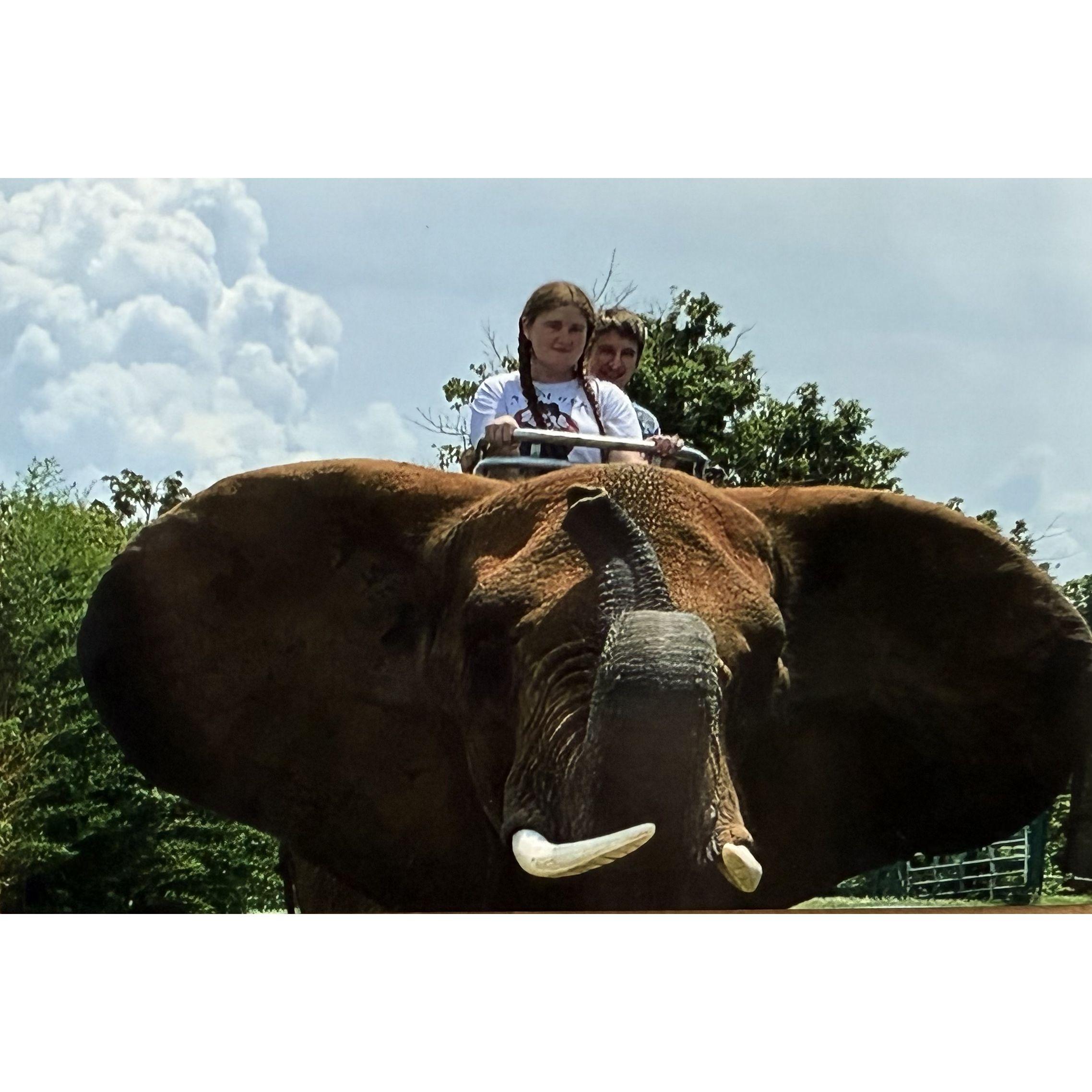 One last trip before going back to school! We traveled up to Great Bridge VA and rode an elephant!