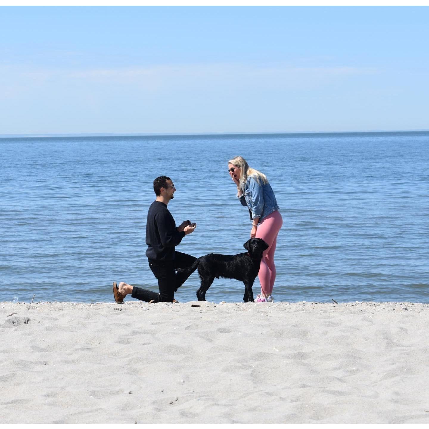 He popped the question!