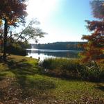 Tyler State Park