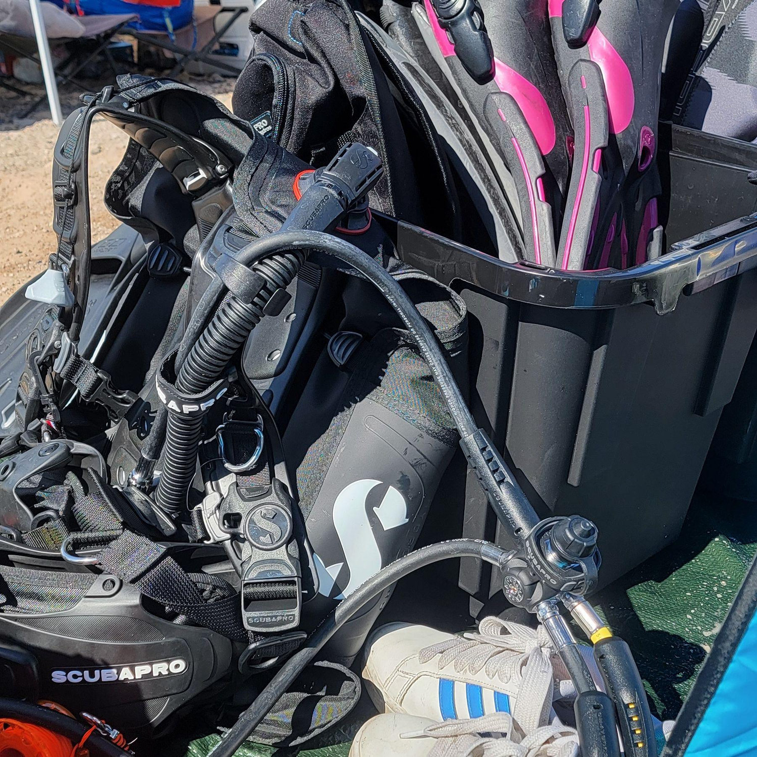 Scuba day proposal