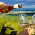 Burgundy Wine Tasting - Chablis or Sancerre