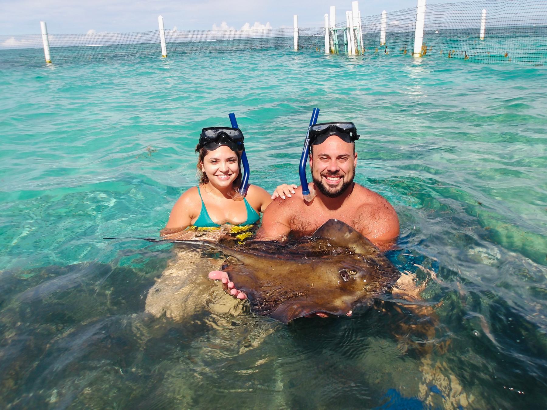 Dominican Republic, Swimming with Sharks