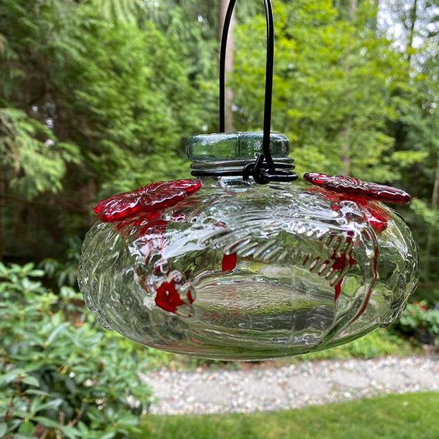 Parasol Bloom Calliope Hummingbird Feeder Clear