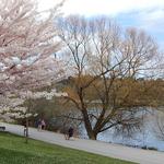 Green Lake Park