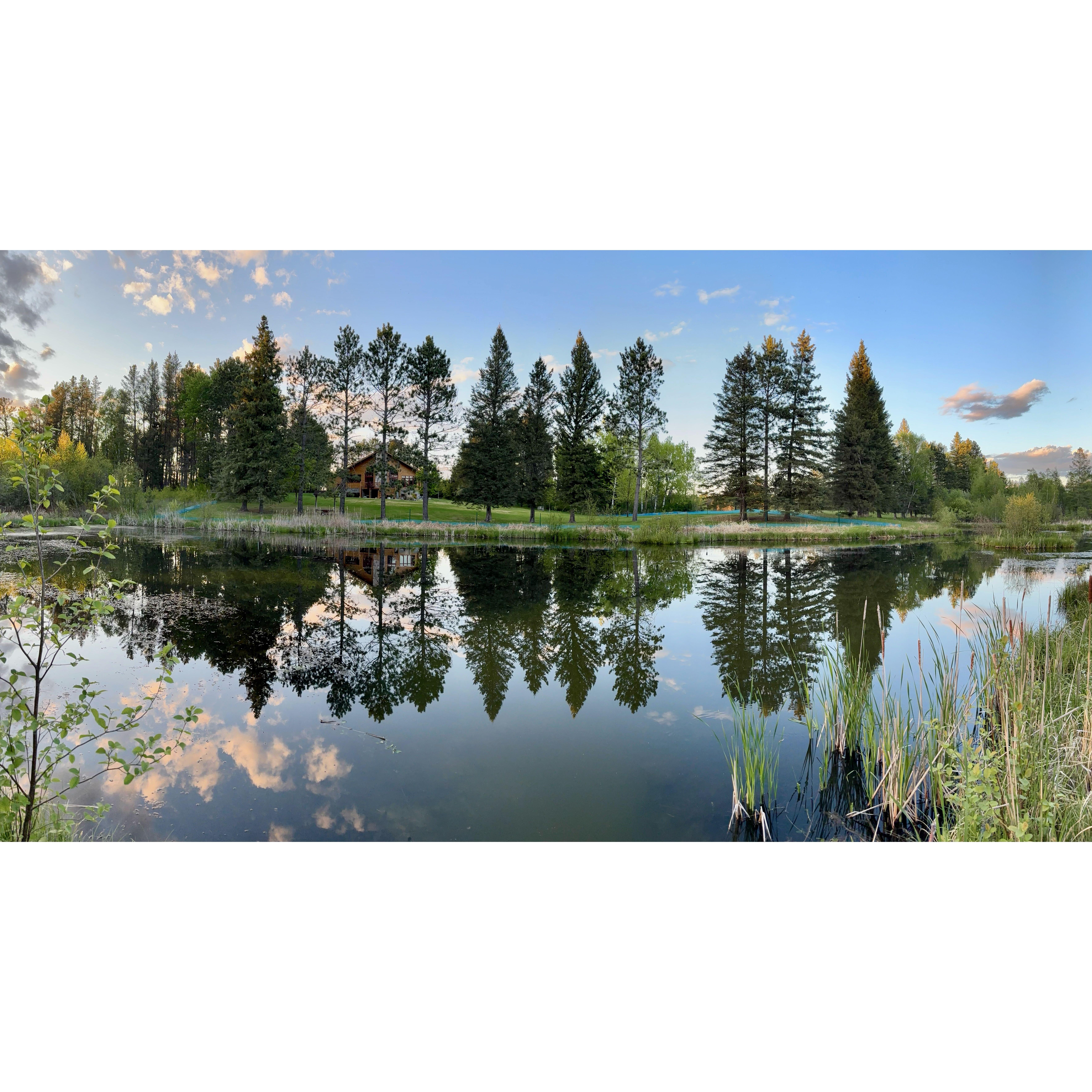Home Sweet Home in Bemidji, Minnesota. Photo creds to Jeff. Unfortunately many of these trees are gone from a storm that hit the town this past June. 12 of these trees ended up on Jeff's house.