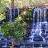Zilker Botanical Garden