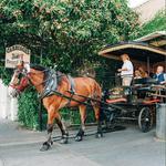 Old South Carriage Company