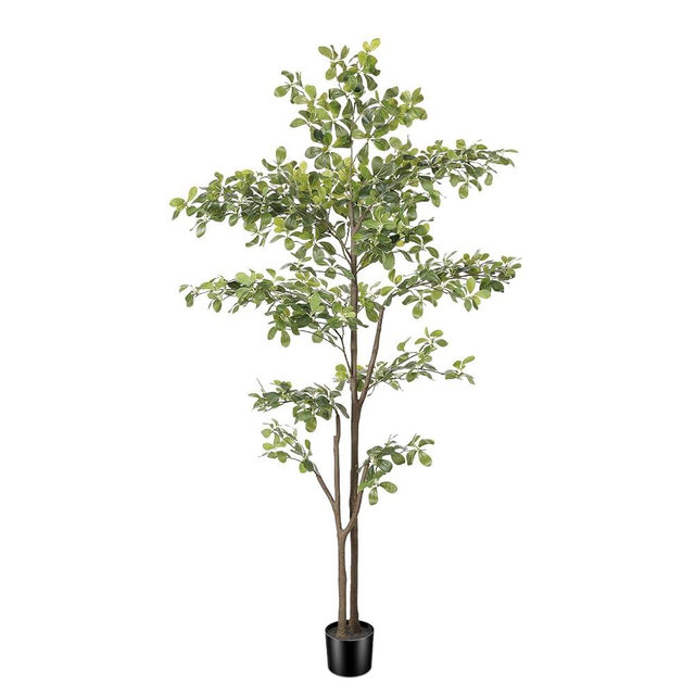 PHYTREE Black Olive Tree 6ft, Artificial Shady Lady Tree with Natural Trunk and Realistic Leaves, Tall Floor Plants for Living Room Decor Home Office Indoor Pack of 1
