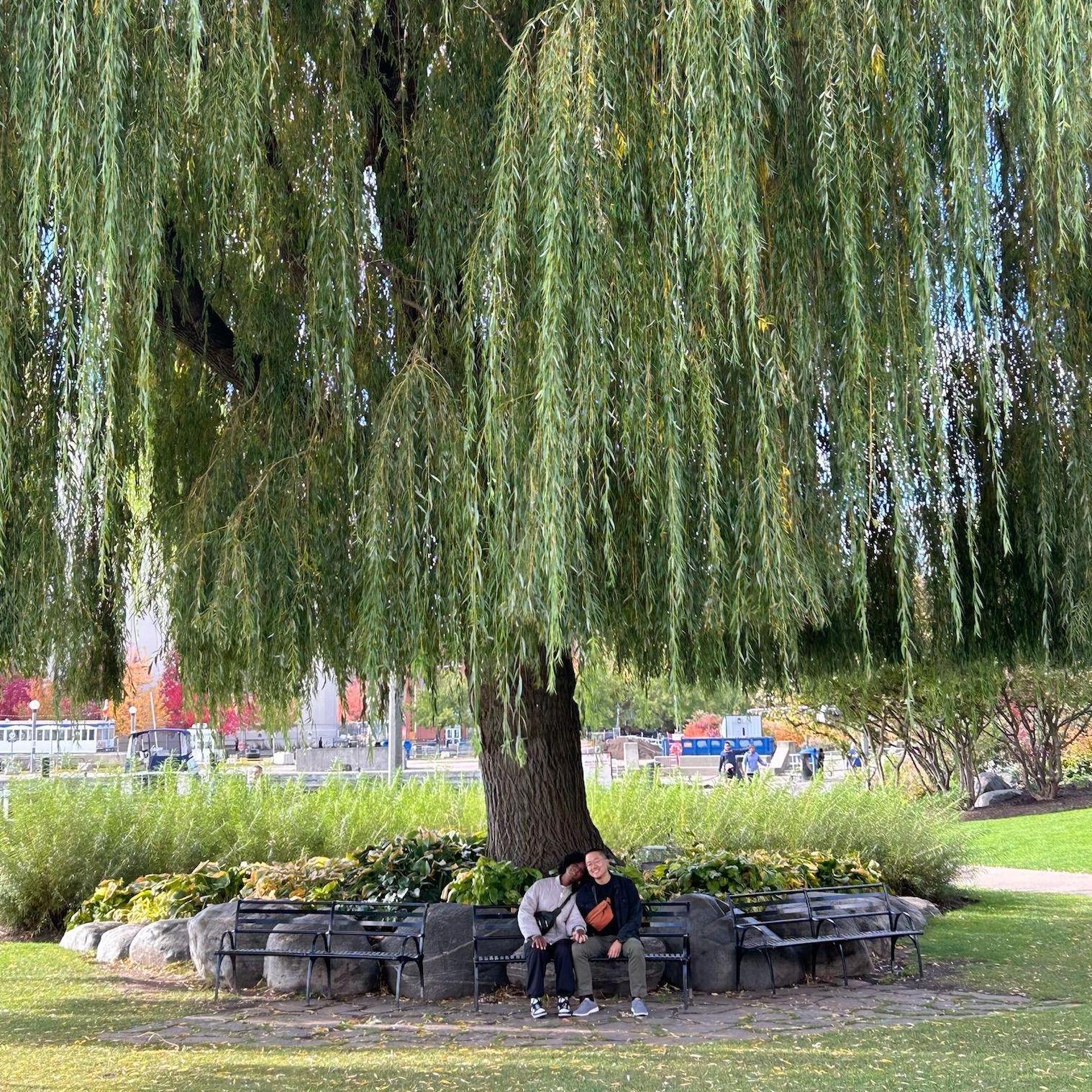 The day Justin proposed!