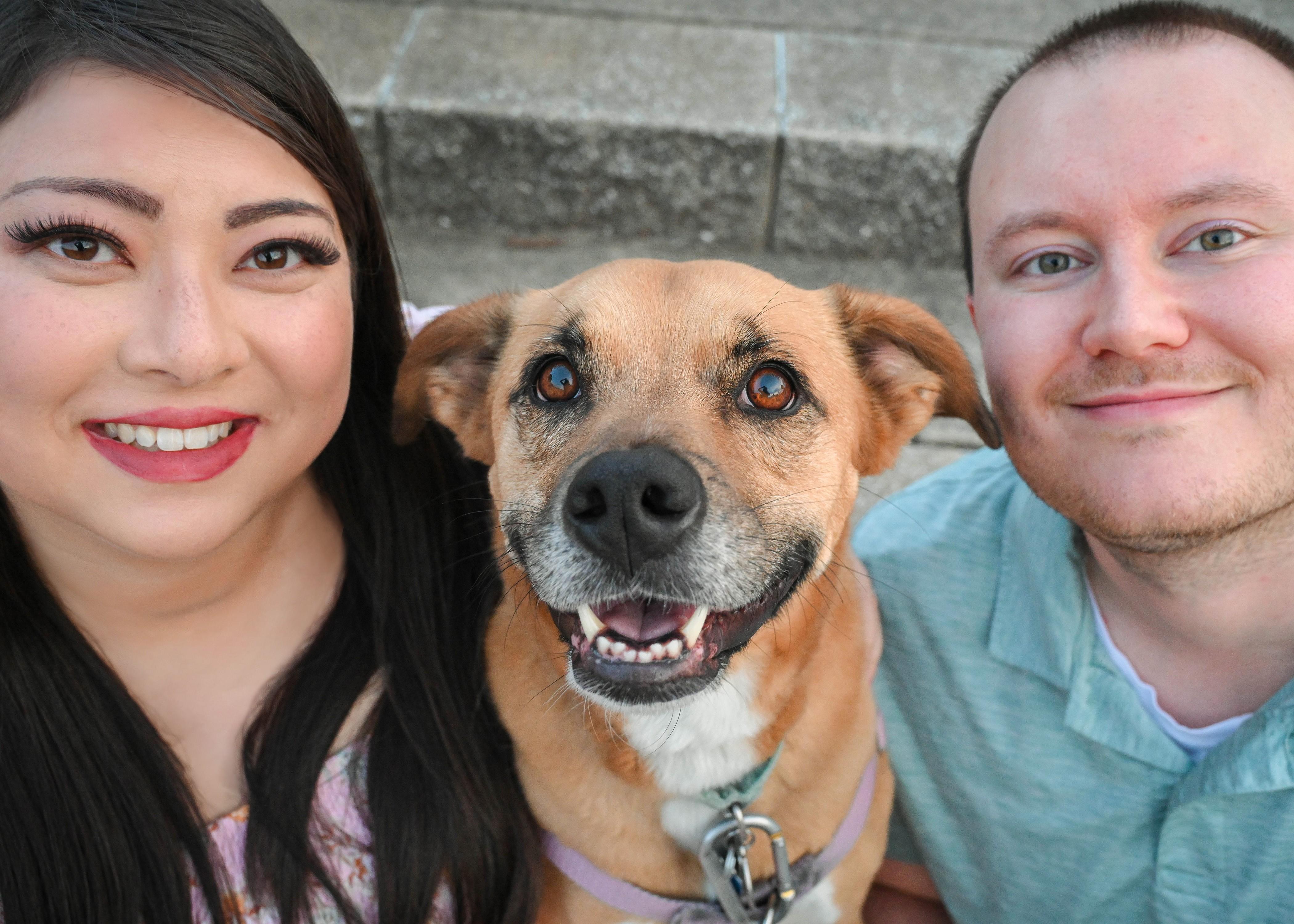 The Wedding Website of Abigail Rose-Craver and AJ Lewis