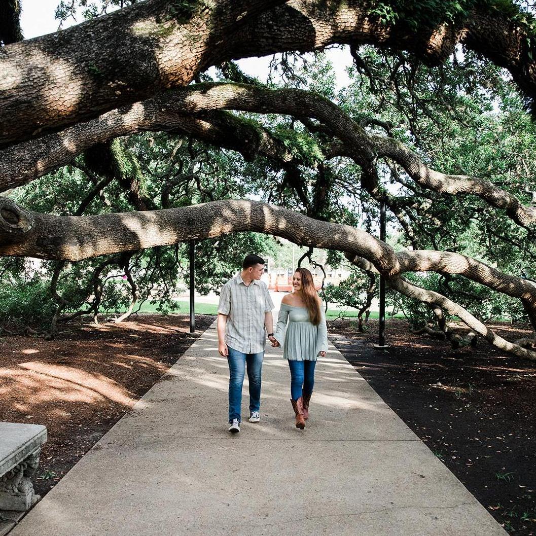 Took a walk under the A&M Century Tree
For any of my non-Aggie people, here's a link to read about why this tree is so special :)

https://www.tamu.edu/traditions/aggie-culture/century-tree/index.html