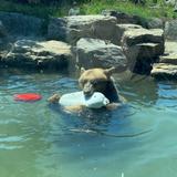 Oakland Zoo