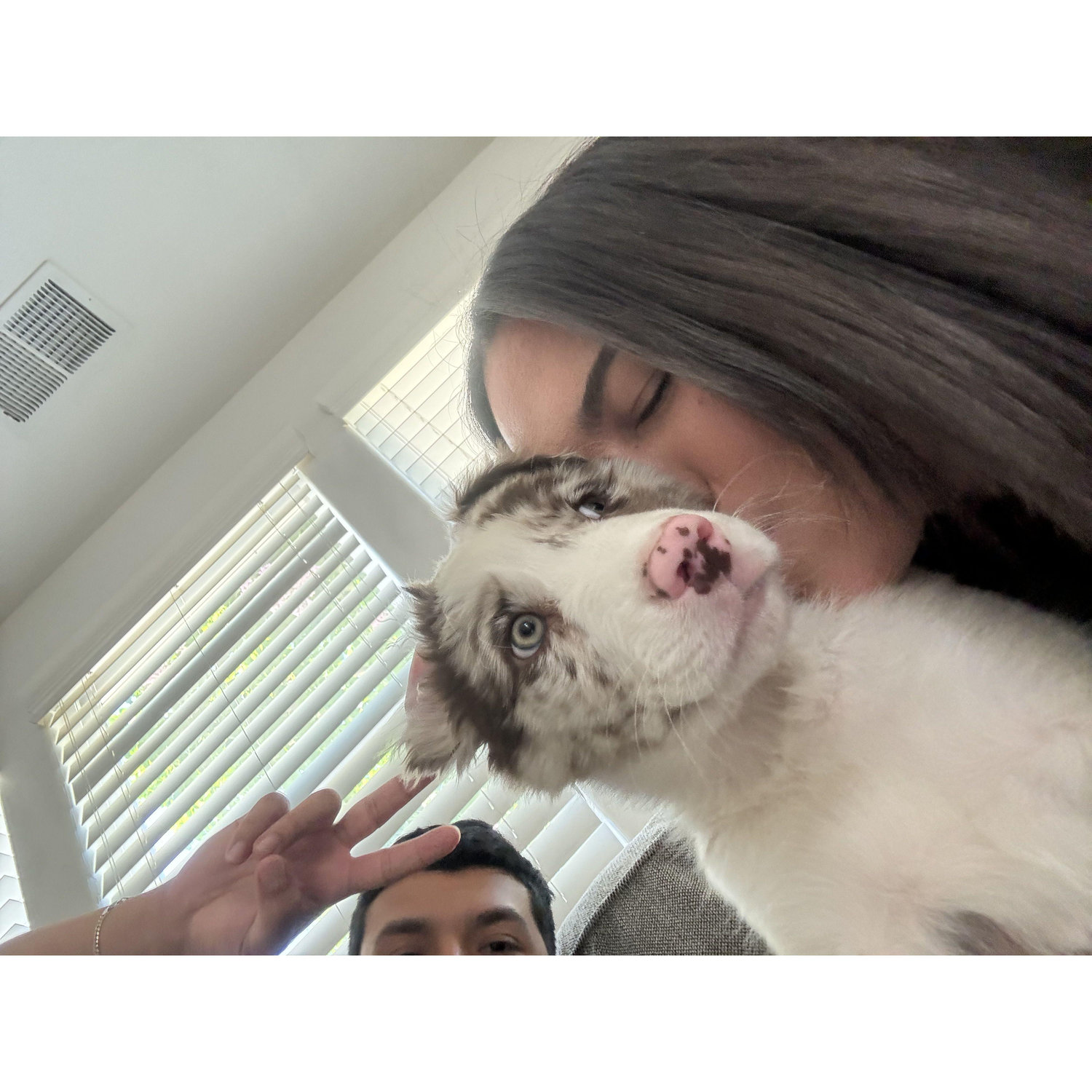 Got a puppy