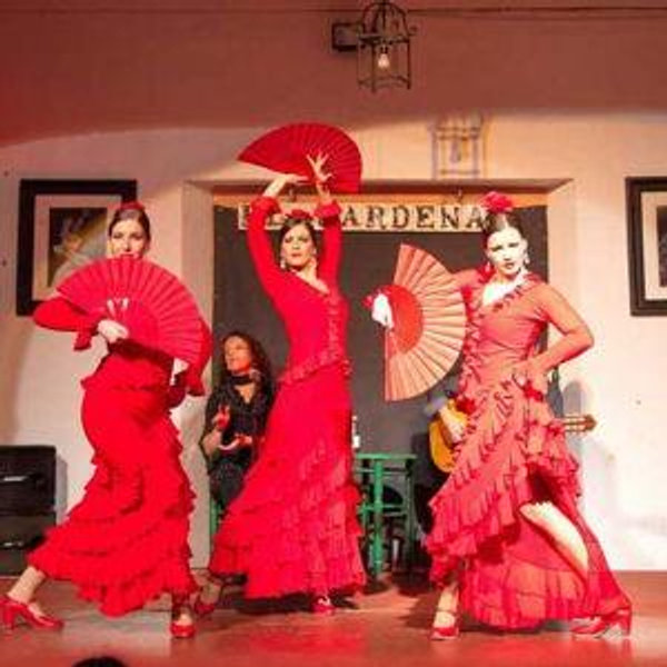 Flamenco Show