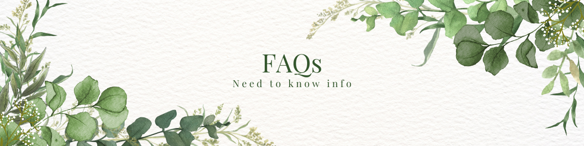 The Wedding Website of Alison Johnson and Jeremy McKee