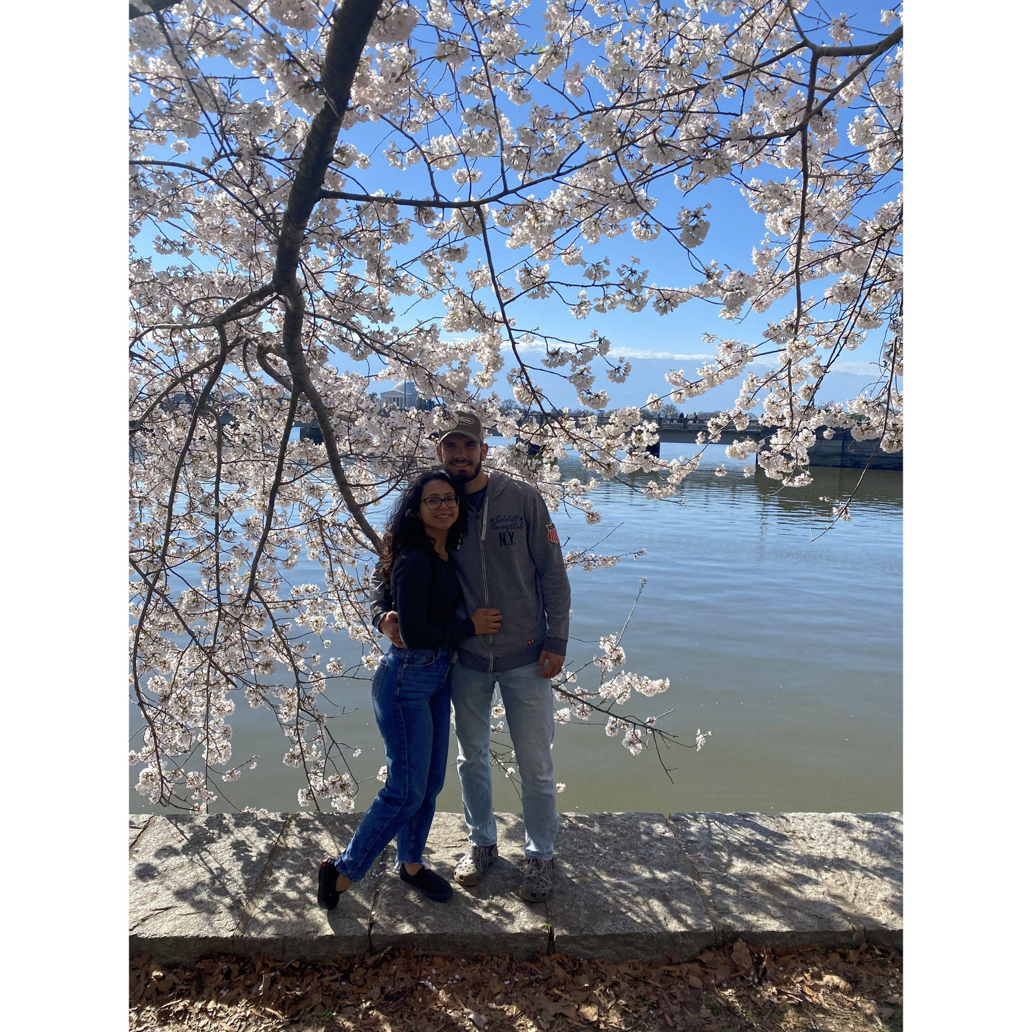 Cherry Blossoms in Washington DC - March 25, 2022