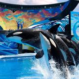 SeaWorld Orlando