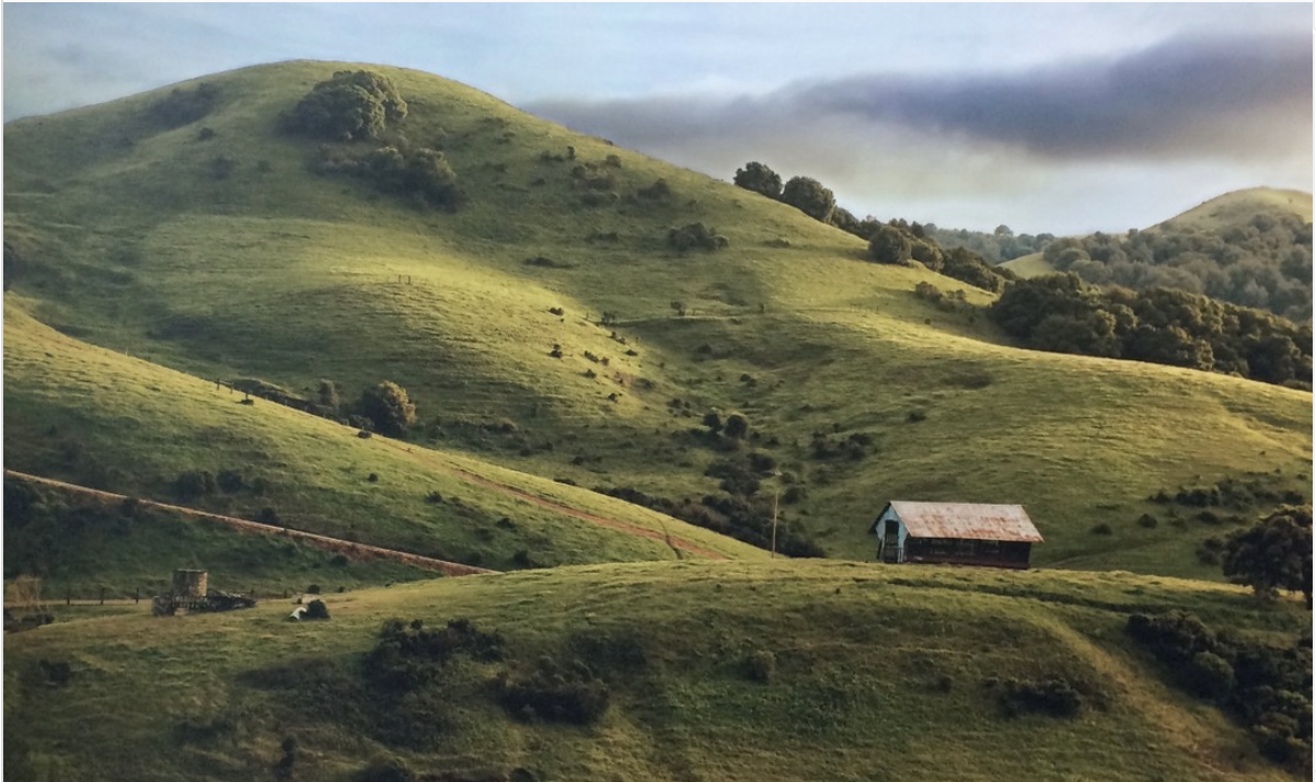 The Wedding Website of Lily Johnson and Kevin Scott