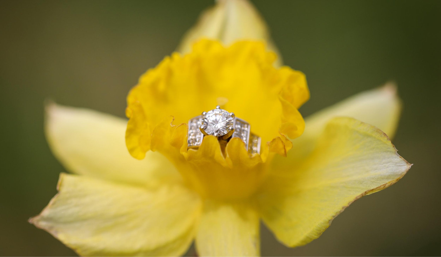The Wedding Website of Madison Hawley and Jeffrey Taylor