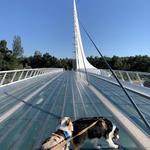 Sundial Bridge