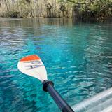 Silver Springs State Park