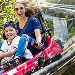 Great Smoky Mountain Wheel and Coasters
