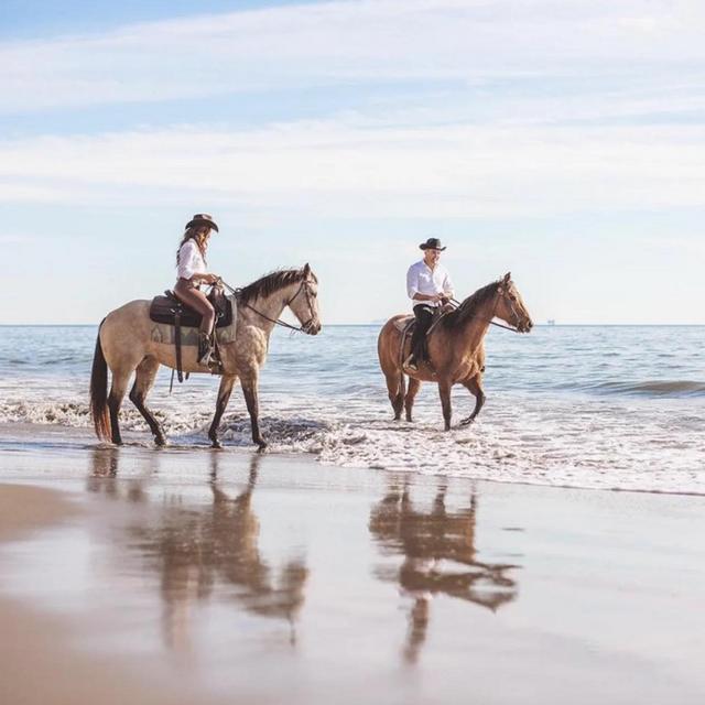 Horseback Riding on the Beach in Punta Cana